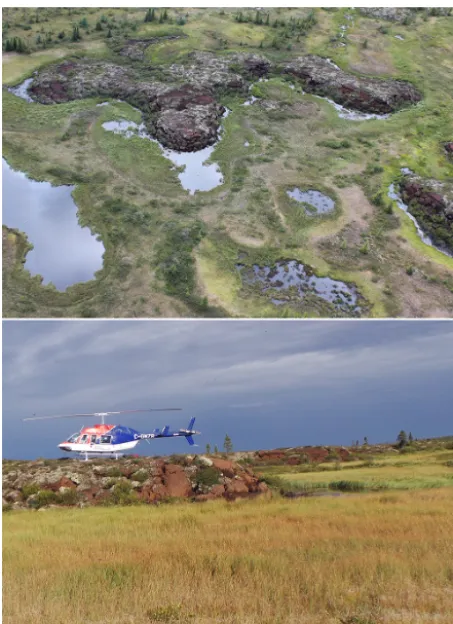 Figure 2. Palsas and their associated thermokarst lakes in the SASvalley. Upper panel: aerial view of the SAS1 area; lower panelground-level view of SAS1B (photograph by Alexander Culley).