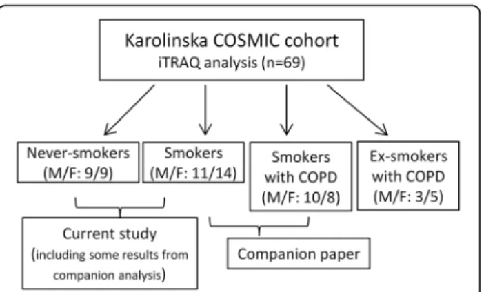Fig. 1 Flow chart of the study design outlining groups of the current paper as well as the companion manuscript [15]