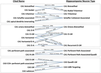 Fig. 1 Relationships between cited names [3, 15–29] and neuron types. This bipartite graph highlights the naming confusion that is typicalwithin the neuroscience community today