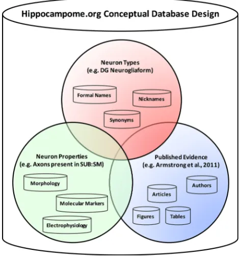 Fig. 3 Hippocampome.org conceptual design. The database groupsinformation into three general categories: neuron types, neuronproperties, and published evidence