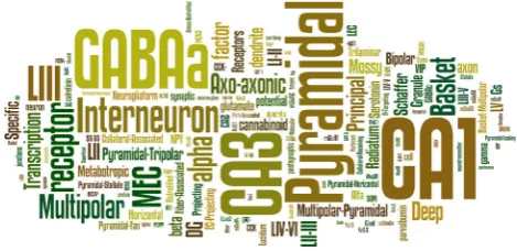 Fig. 4 Neuron term machine-readable deﬁnition identiﬁer: an online portal for conceptual mapping of neuronal properties fully integrated inHippocampome.org