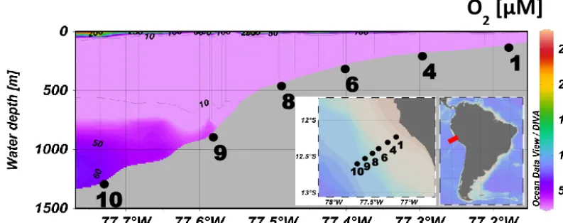 Table 1. Sampling deployments, including station number according to Dale et al. (2015), core ID, sampling date and coordinates