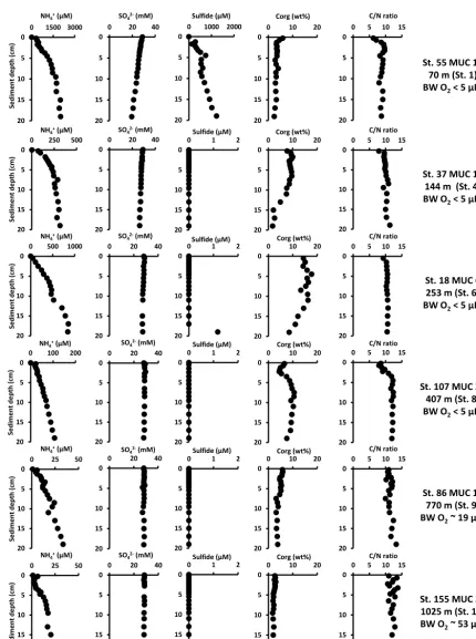 Figure 2. Biogeochemical porewater proﬁles in MUC cores from sampling stations along the 12SO(BW O◦ S depth transect