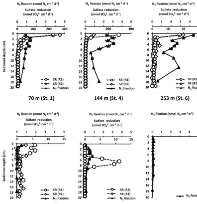 Figure 3. Sediment proﬁles of N2 ﬁxation (nmol N2 cm−3 d−1, average of three replicates) and sulfate reduction rates (SR,nmol SO2−4cm−3 d−1, two replicates; R1 and R2) from 0 to 20 cm at the six stations