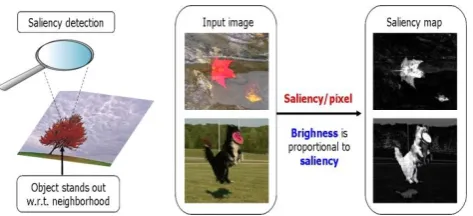 Fig -3: Frequency tuned salient region detection output. 