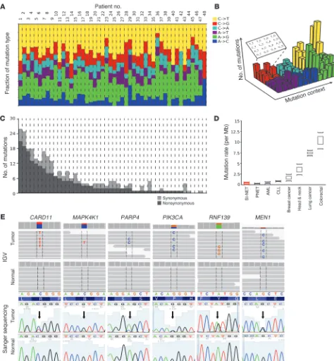 Figure 2Somatic mutation landscape across the coding genes (exome) in SI-NETs. (A) Mutation pattern