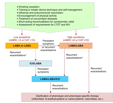 Figure 1 Pharmacologic treatment of COPD.Notes: Proposed algorithm of the Russian National guidelines for the management of COPD