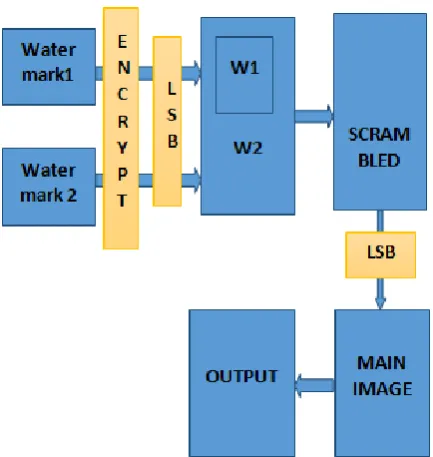 Fig. 9. Encryption process of DIW algorithm. 
