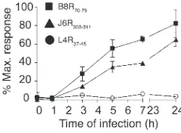 Figure 6In vitro presentation kinetics of protective and nonprotective immune 