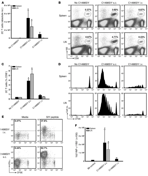 Figure 4SIY-specific 2C T cells undergo abortive peripheral tolerance in mice with i.v