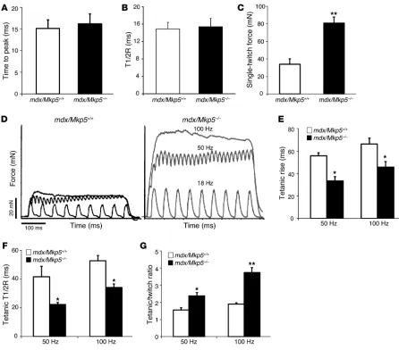 Figure 4EDL muscle contractile properties of MKP-5–deficient mdx mice. (A–C) Single-twitch contraction