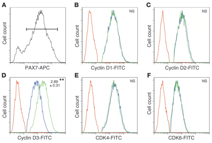 Figure 7MKP-5 deficiency increases the expression 