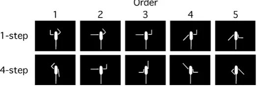 Figure 3. Examples of pseudo-postures. The pseudo-postures used in the 1-step and 4-step conditions are shown in the top and bottom rows, respectively