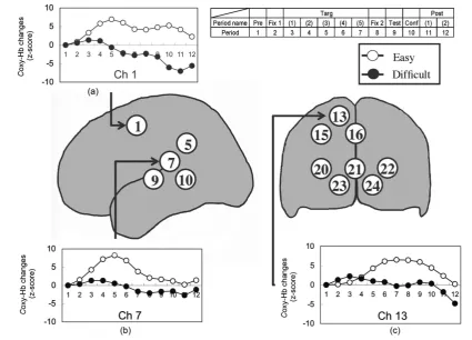 Figure 5. Average oxy-Hb concentration changes under the novel contour shape condition during the correct responses