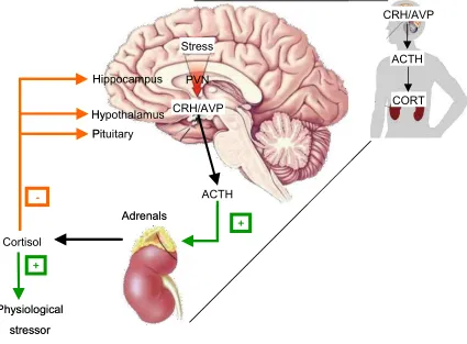 Figure 1.1:  
