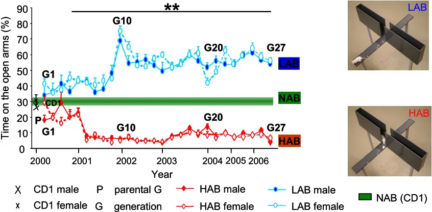 Figure 1.2:  