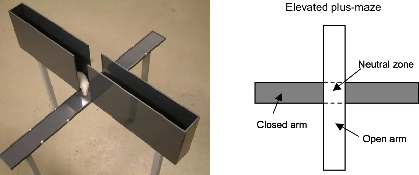 Figure 3.2: 