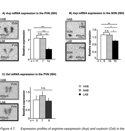 Figure 4.7: 