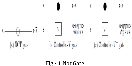 Fig - 1 Not Gate 
