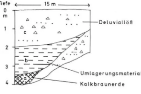 Abb. 2. Profil „Matma" 