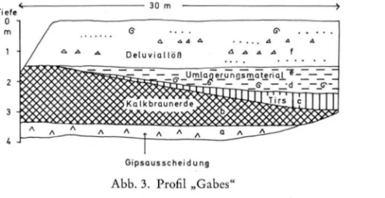 Abb. 3. Profil „Gabes" 