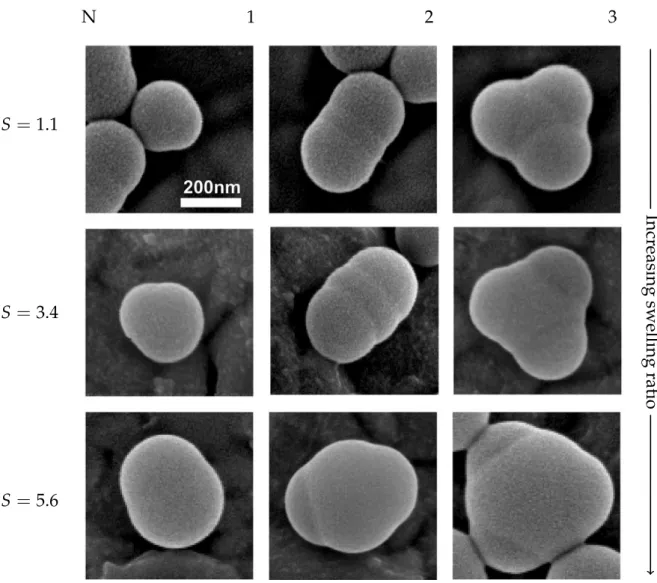 Figure 2.2.4: SEM images of polystyrene colloids swollen with styrene. As the swelling ratio increases, the shape of the clusters is influenced