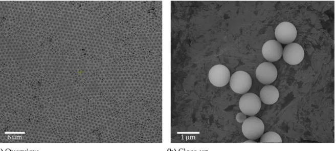 Figure 4.1.2: (a) SEM image showing an overview of a close-packed structure of TPM par- par-ticles