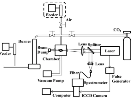 Figure 1shows the experimental apparatus used in this study. A Q-switched Nd:YAG laser (LOTIS TII, vacuum chamber of LIBS analyzer