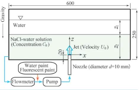 Figure 1. Experimental setup.                                       