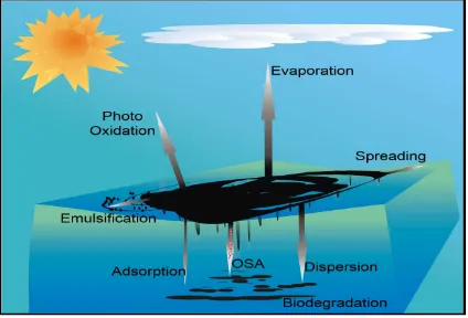 Table 1. Weathering process associated with the oil spill in marine environments. 