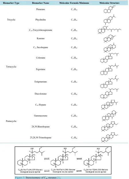 Figure 3. Stereoisomery of C29 steranes [1]. 