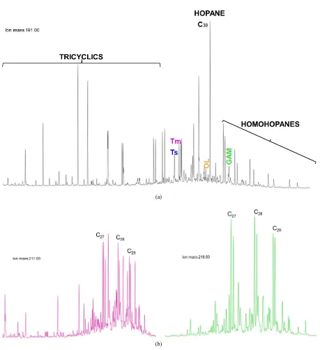 Figure 5. Fragments for biomarker of petroleum monitoring for GC-MS in SIM mode. (a) Ion fragment m/z 191 for petro-leum biomarkers: tricyclic homologous series, Ts, Tm, C30-hopane, gammacerane and homologous series of C31 to C35 ho-mohopanes