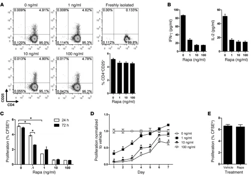 Figure 1Rapa-ECs poorly stimulate allogeneic memory CD4proliferation was assessed after 7 days and normalized to vehicle control (0 ng/ml rapa)