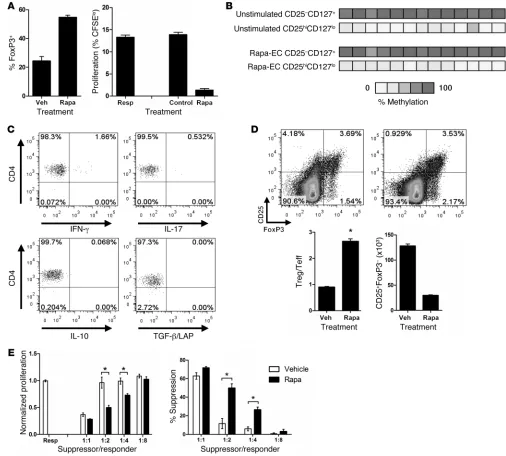 Figure 5CD4added to fresh cocultures of untreated CD32-transduced ECs and CFSE- labeled responder CD4FACS-sorted total CD25CFSE-labeled responder T cells