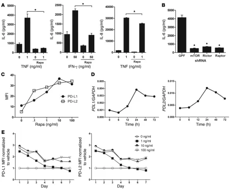 Figure 6Rapamycin decreases EC secretion of IL-6 and increases expression of PD-L1 and PD-L2