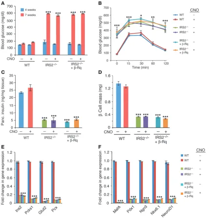 Figure 4The beneficial metabolic effects caused by activation of cell genes downregulated by IRS2 deficiency, including genes critical for sion was studied by real-time qRT-PCR analysis of total islet RNA