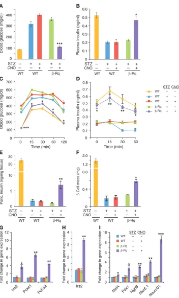 Figure 5Beneficial metabolic effects of 