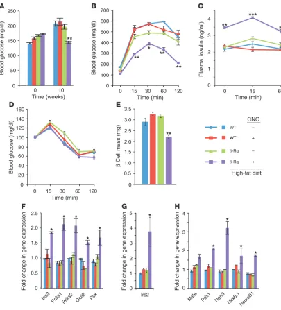 Figure 6Chronic activation of G