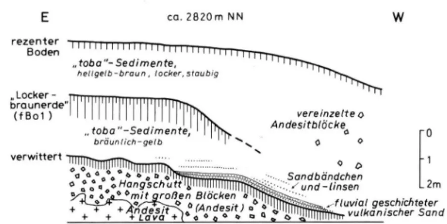 Abb. 7. Profil am Nordosthang der Iztaccihuatl an der Straße (Libre) von Texmelucan zum Rio  Frio-Paß