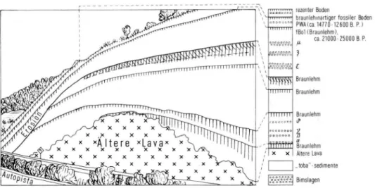 Abb. 4. Die Zeichnung zeigt den gleichen Profilausschnitt wie das Photo der Abb. 3. Das schema­