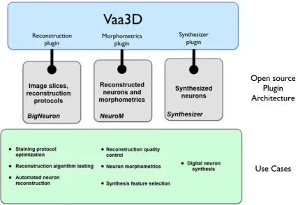 Fig. 1 Vaa3D is a cross-platform framework that provides a pluginarchitecture to expose community-provided features for neuronalreconstruction, morphometric analysis, and digital neuron synthesis.Individual plugins allow users to solve many current neuron