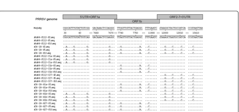 Fig. 3 Identification of the rescued virus based on CPE.rHuN4-F112-C27, rCH-1R-H1a, rCH-1R-H1b and rCH-1R-H27, respectively