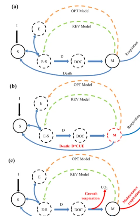 Figure 1. Conceptual diagrams of our microbial–enzyme models.The difference across the models is in the formulation of depoly-