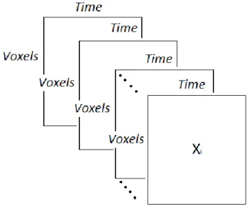 Figure 1. Graphical representation of multi-subject (resting-state) fMRI data consisting of 