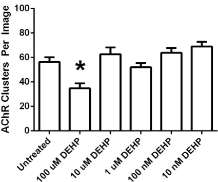 Figure 1. BPA decreases the frequency of agrin-induced AChR clusters. Frequency of agrin-induced AChR clusters were quantified by analyzing fluorescent images from agrin- induced cultures that were untreated or were exposed to 10 nM - 10 μM BPA for the las