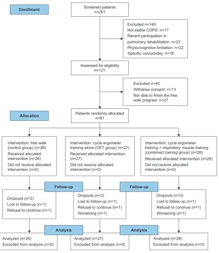 Figure 2 Flow diagram for studies included.Abbreviation: CeT, cycle ergometer training.