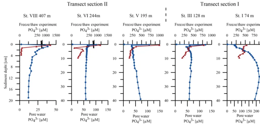 Figure 7. Comparison of porewater PO3−4concentrations before (blue) and after the freeze–thaw experiments (red) in µmol L−1.