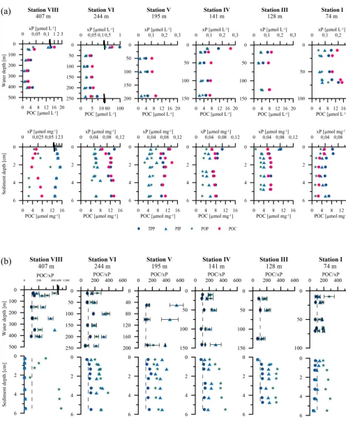 Figure 2. (a) Concentration proﬁles of TPP, PIP, POP, and POC of the water-column particles and the surface sediments along the 12higher than at the other stations.transect