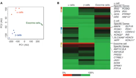 Figure 2Genome-wide transcriptome analysis using RNA-Seq confirms high purity of sorted cell populations and reveals cell-type–specific gene expression