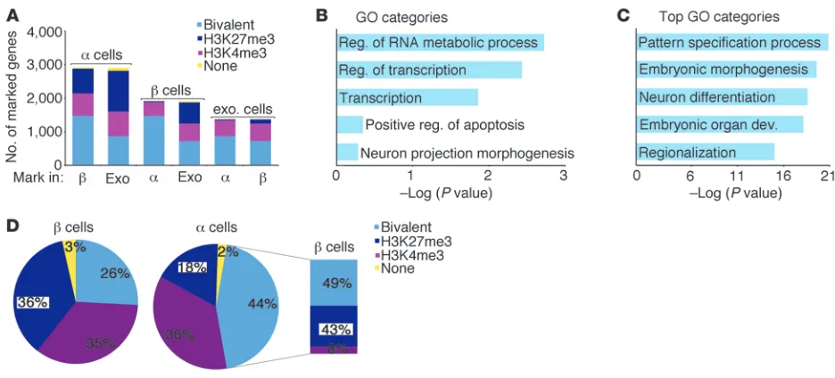 Figure 4Human marked loci than α cells demonstrate a higher number of bivalently marked genes than β and exocrine cells